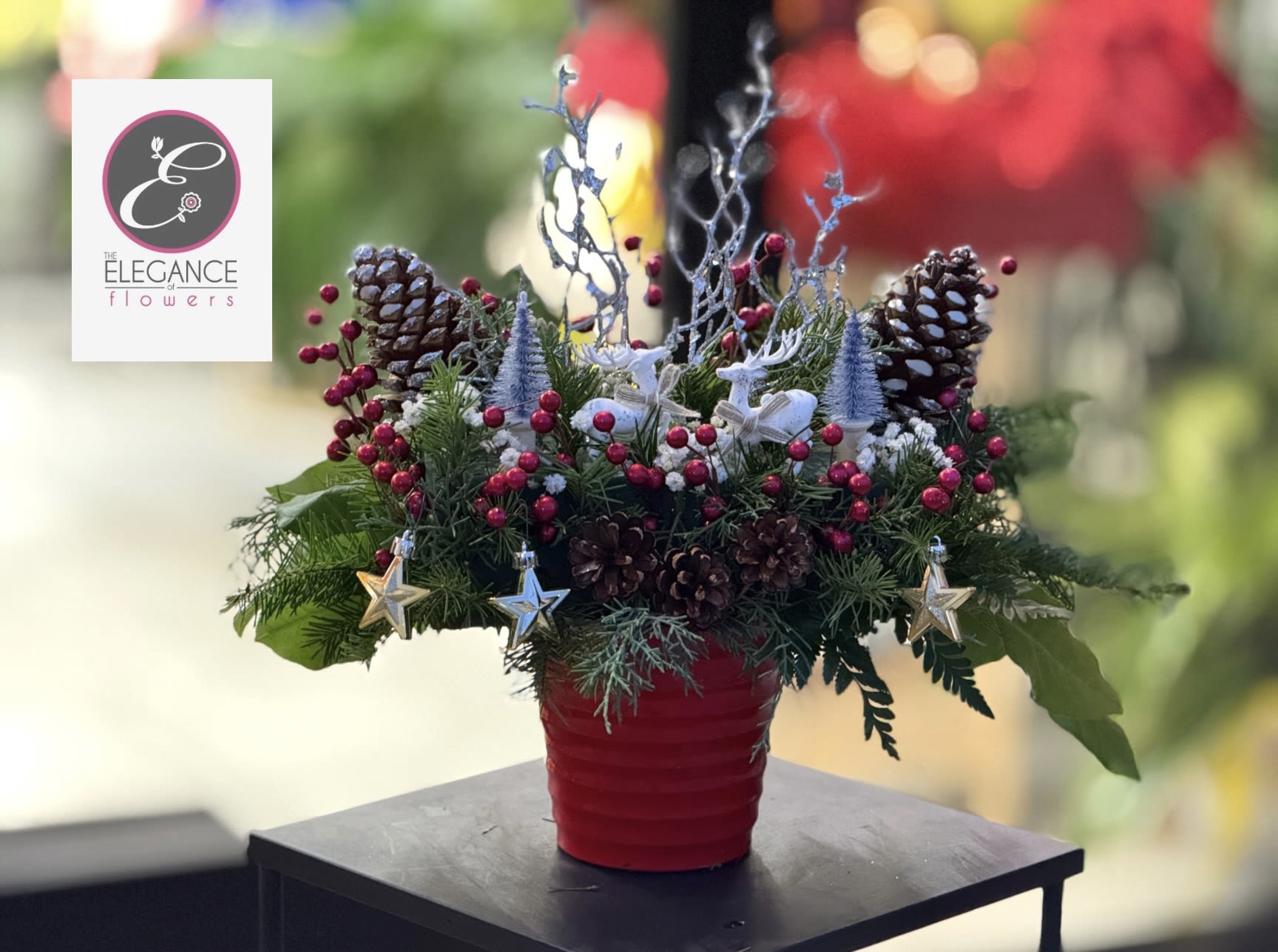 Holiday arrangement in a red pot with pinecones and star ornaments