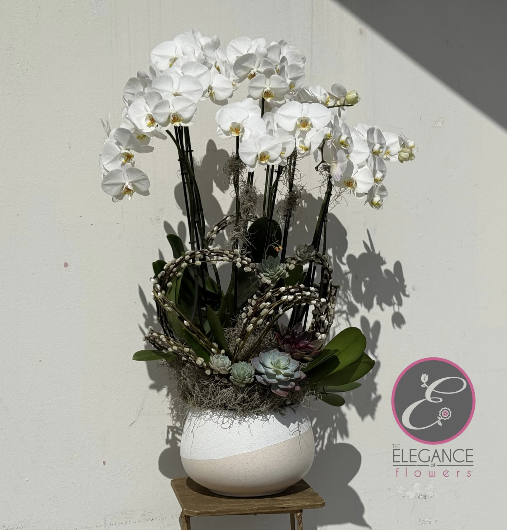 White orchid arrangement in a round white vase with succulents
