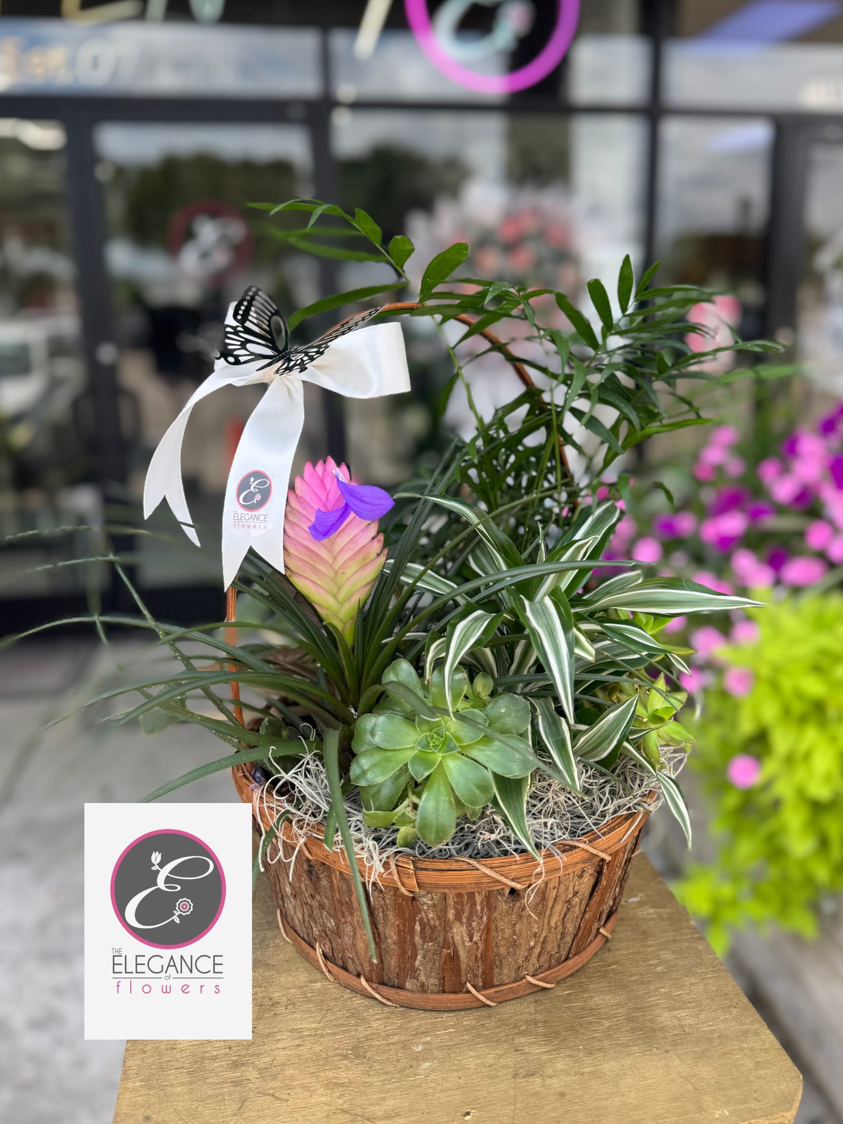 Plant Basket Arrangement #10 - N/A