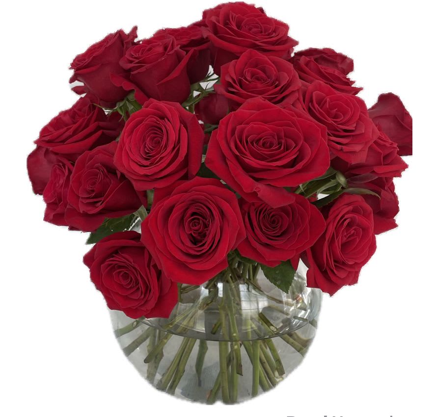 Pure Passion - 24 Red Roses - A stunning arrangement of 24 red premium roses beautifully displayed in a clear bubble vase. Elegant, classic, and perfect for showing love and appreciation.