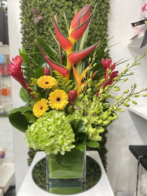 Tall tropical arrangement with red heliconia, yellow gerberas and green hydrangea in a square glass vase