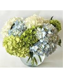 Charleston Cobblestones - This serene arrangement features a harmonious blend of 3 colors of hydrangea arranged in a clear glass container, (round, square or cylinder-depending on availability) This simplistic low profile display of beautiful Southern Hydrangeas is suitable for any occasion including centerpieces for events and weddings.  Enjoy! *Pictured as Deluxe