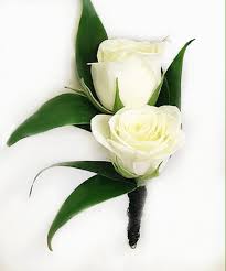 Two white rose boutonnieres with dark green leaves