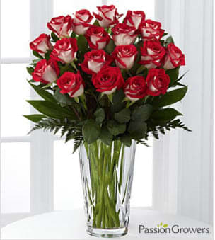 Passion™ for Fun Rose Bouquet - Picked fresh from the Passion™ Growers Farm to bring a flair of color &amp; light straight to their door, the Passion™ for Fun Rose Bouquet is a bouquet they won't forget! FTD® has partnered with this particular rose grower because of their high quality standard &amp; commitment to their community &amp; environment, resulting in a bouquet that will exceed your special recipient's every expectation. This fresh bouquet of Dynamite variety roses, known for its bicolored white petals with red tips, is accented with a variety of lush greens to shower your recipient with merry wishes &amp; joy.  BETTER bouquet includes 18 stems with vase. Approximately 24-inches in height. Your purchase includes a complimentary personalized gift message.