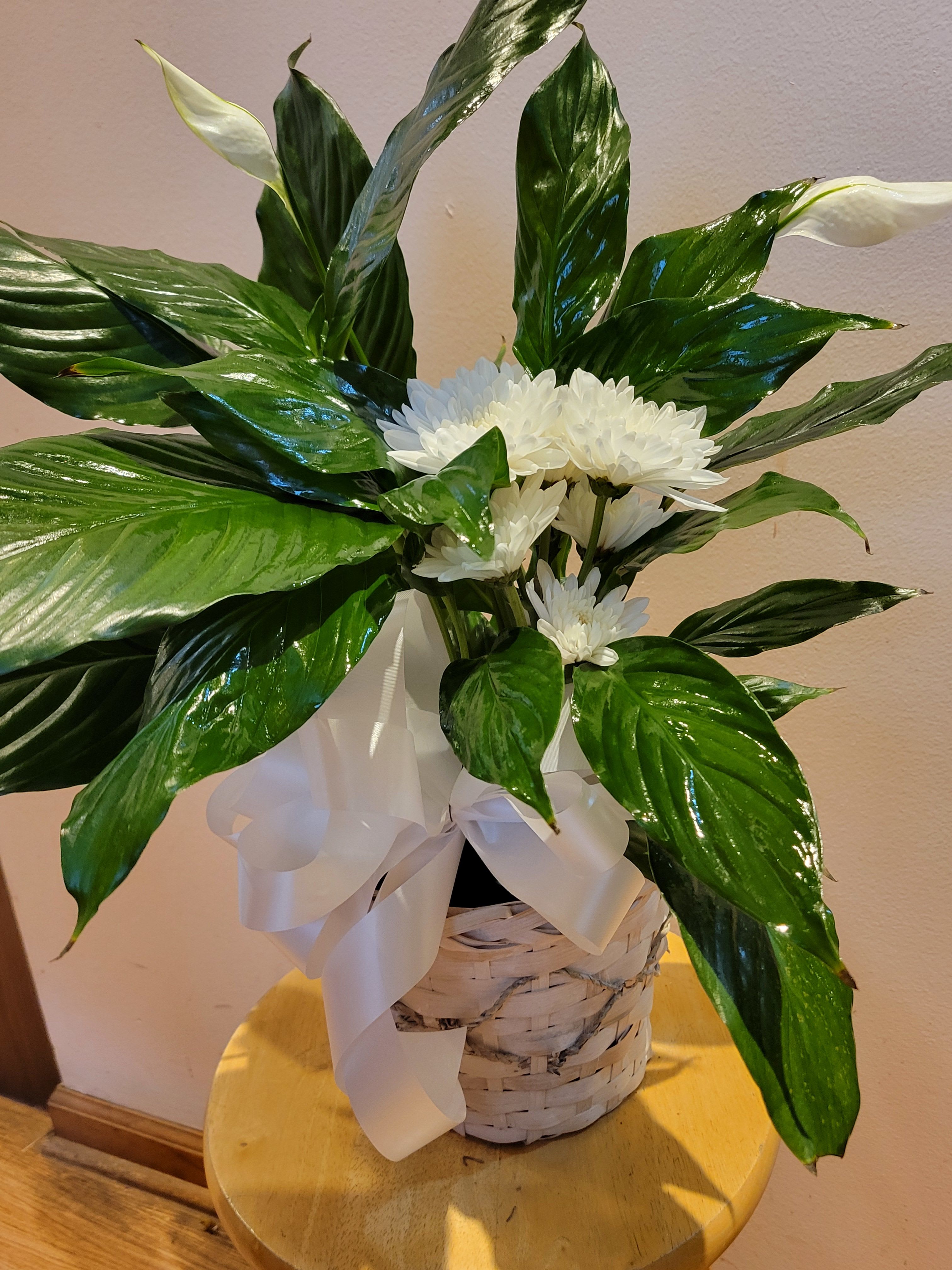 White daisies in a woven basket with a large white ribbon