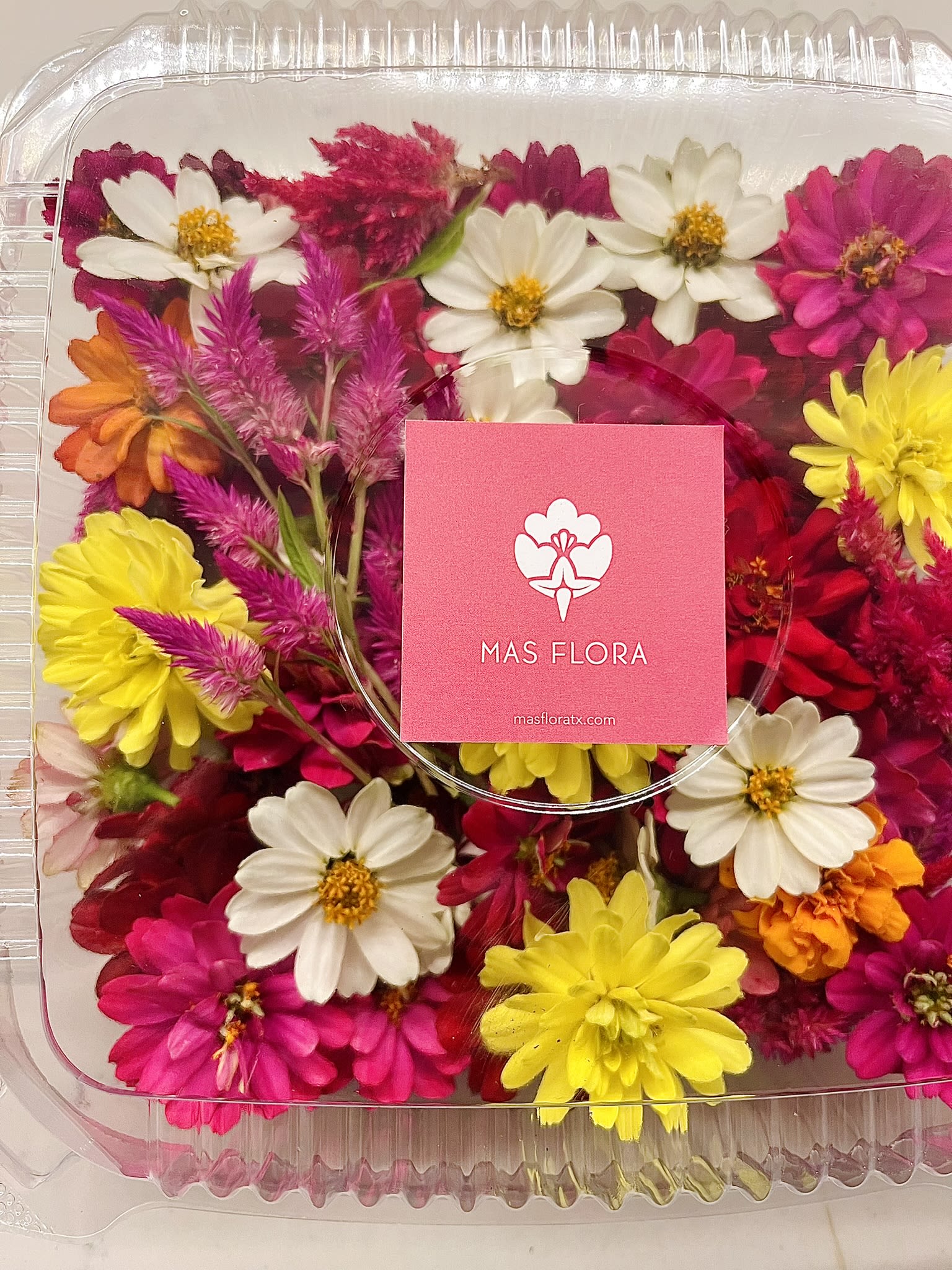 Assorted colorful flowers in a clear plastic gift box