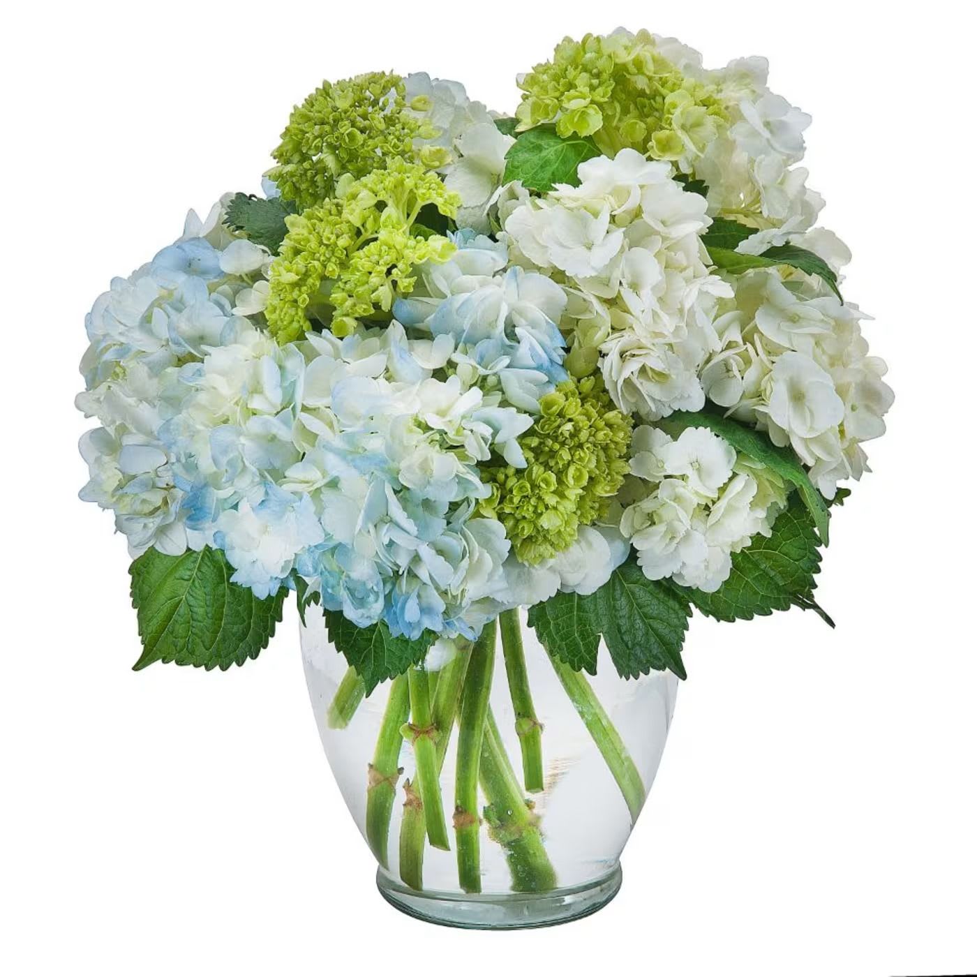 Southern Hospitality - A clear vase filled with beautiful hydrangea.