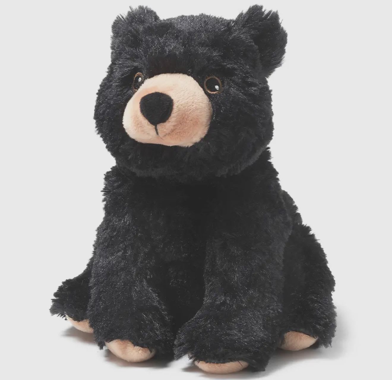 Black teddy bear plush with a beige snout and paws