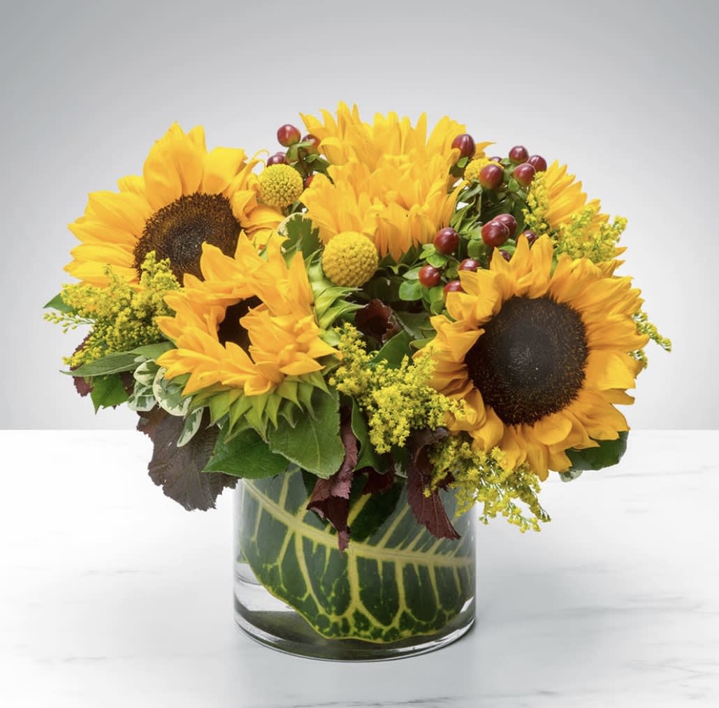 SUNNY SUNFLOWER - Beautiful sunflowers, in season and huge mixed with gorgeous greens and topped off with very pretty yellow roses in a beautiful pearl glass container. A gorgeous arrangement to celebrate Fall!