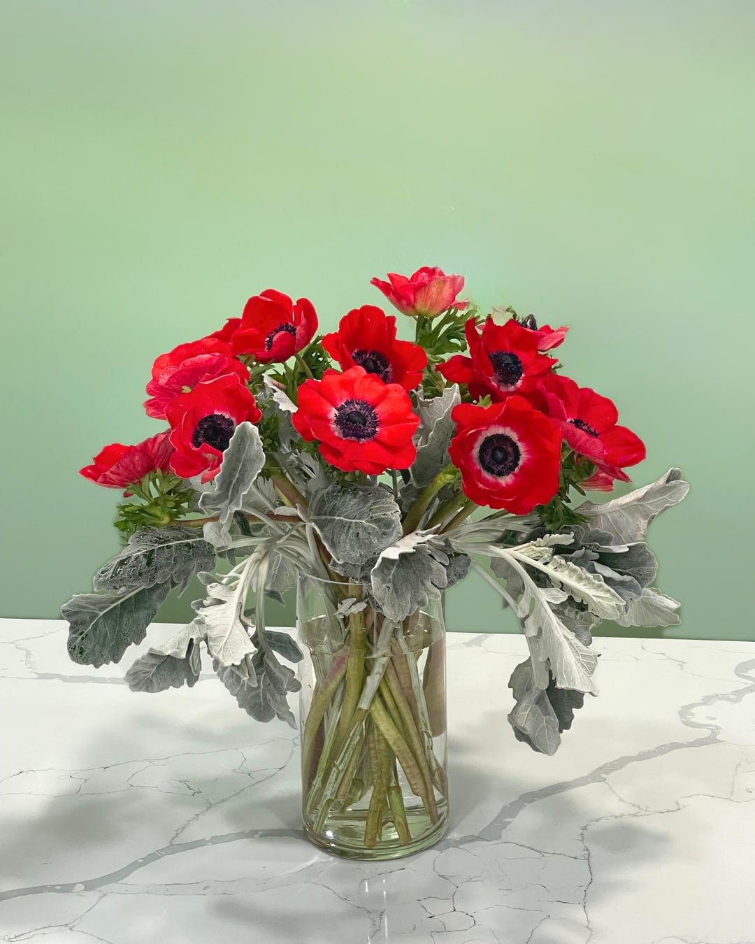 Red anemones in a clear glass vase with silvery foliage