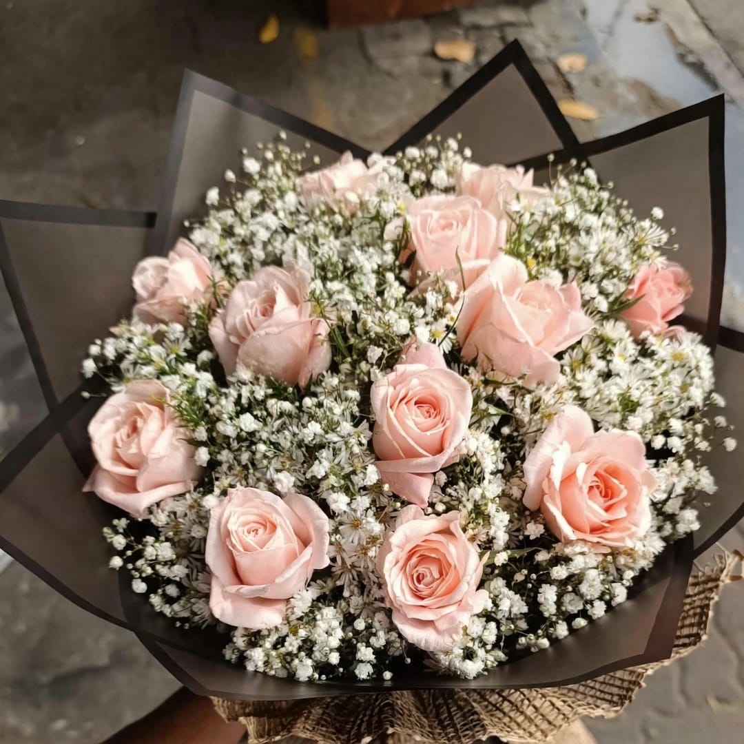 Bouquet of pale pink roses with white baby's breath in dark wrap