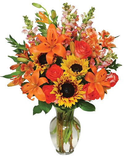 Fall Flower Gala - A beautiful mix of fall colors and florals designed in a clear vase. Flowers choice and colors will be as close to picture as possible. 