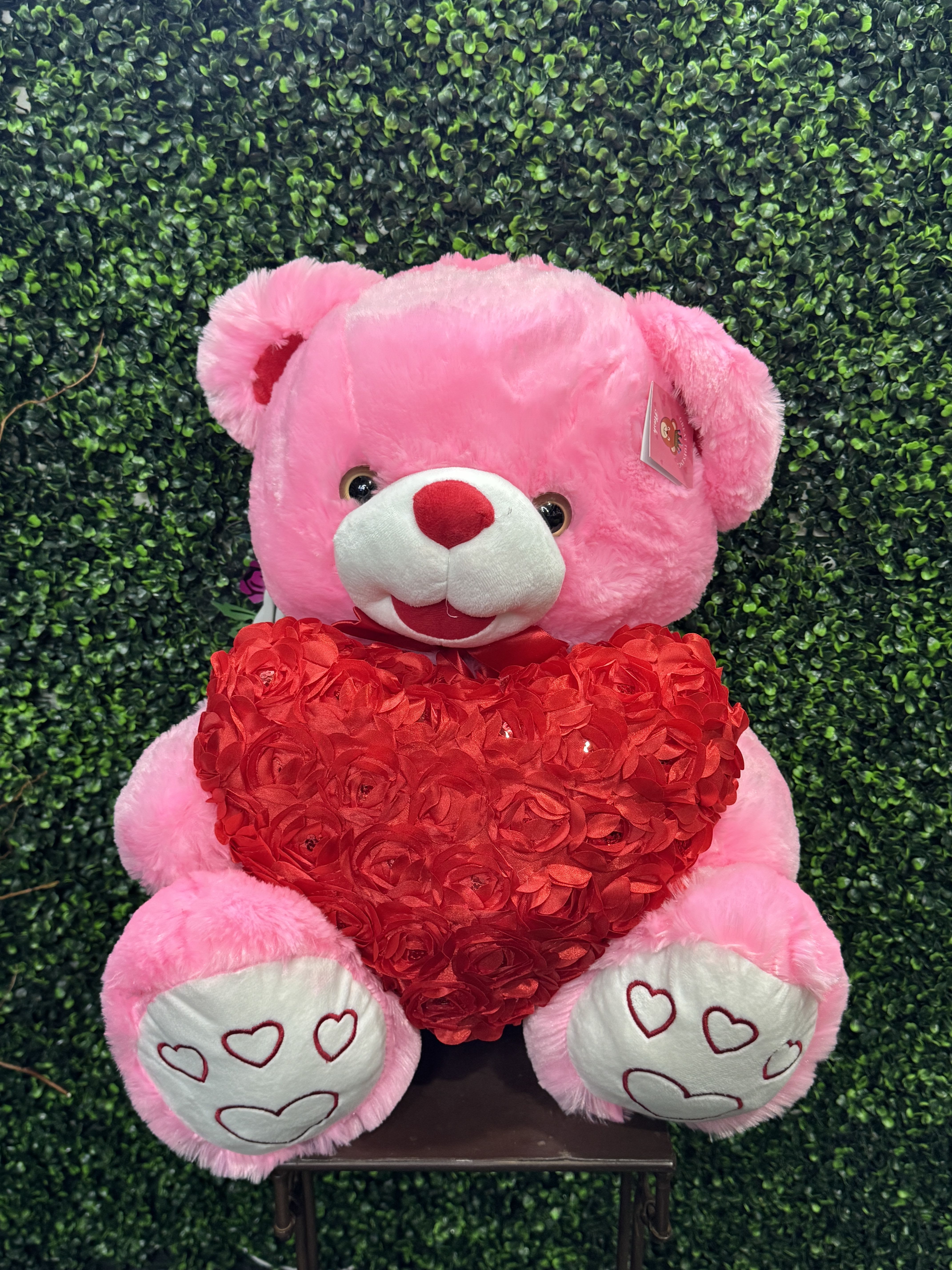 Pink teddy bear holding a red heart against a green hedge backdrop