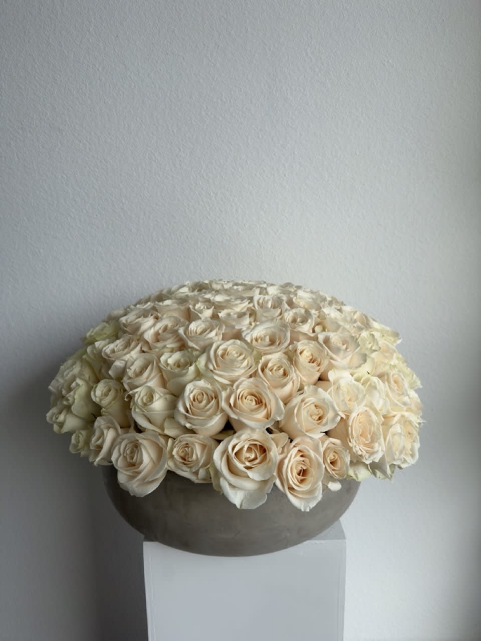 Maeve Roses  - Our luxury arrangement of 150 in a beautiful concrete vase.  Arrangement includes: white roses Ceramic Vase 18-20 inches in diameter  Custom greeting card