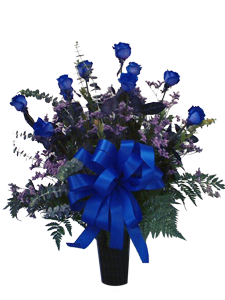 Blue Roses From Holland By Alexa S Flowers
