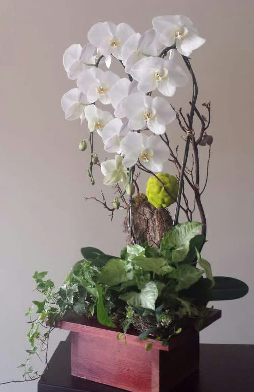 Orchid Plants Basket In Cerritos Ca Cerritosflowers Com
