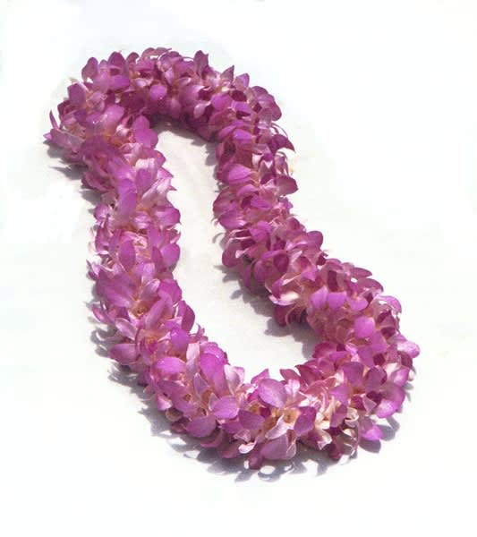 Flower Graduation Hawaiian Orchid Lei By Flowers By Robert Taylor Inc Covina West Covina