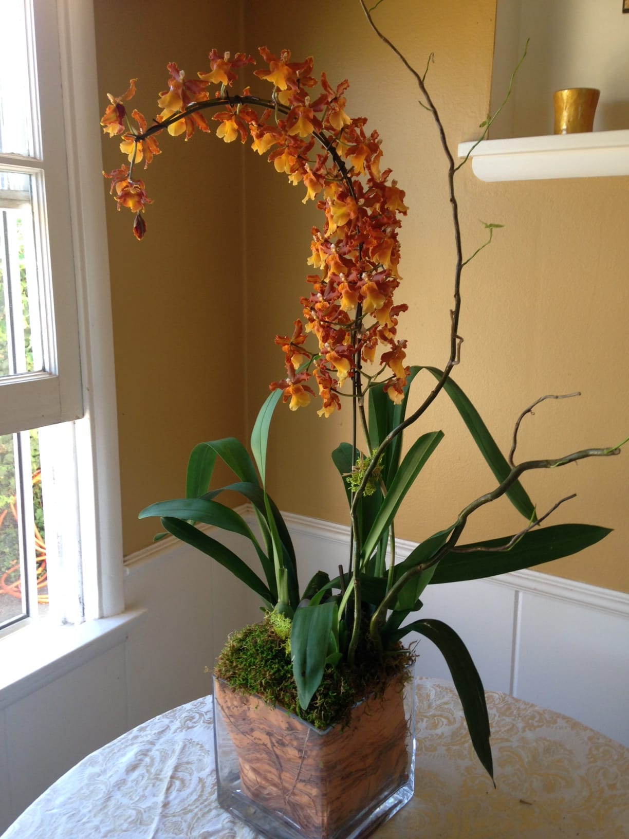Fall Orchid In Los Angeles Ca Susan Floral Design