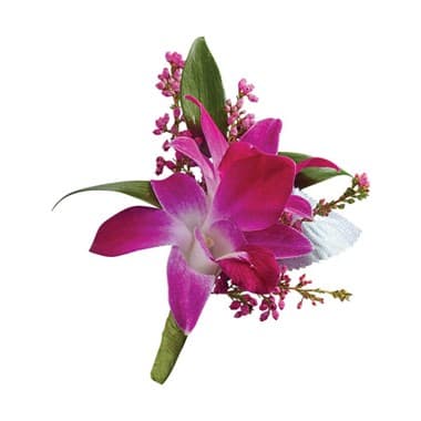 1 800 Flowers Purple Dendrobium Orchid Boutonniere In Suffern Ny Petals And Stems Florist