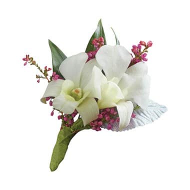 1 800 Flowers White Dendrobium Orchid Boutonniere In Suffern Ny Petals And Stems Florist