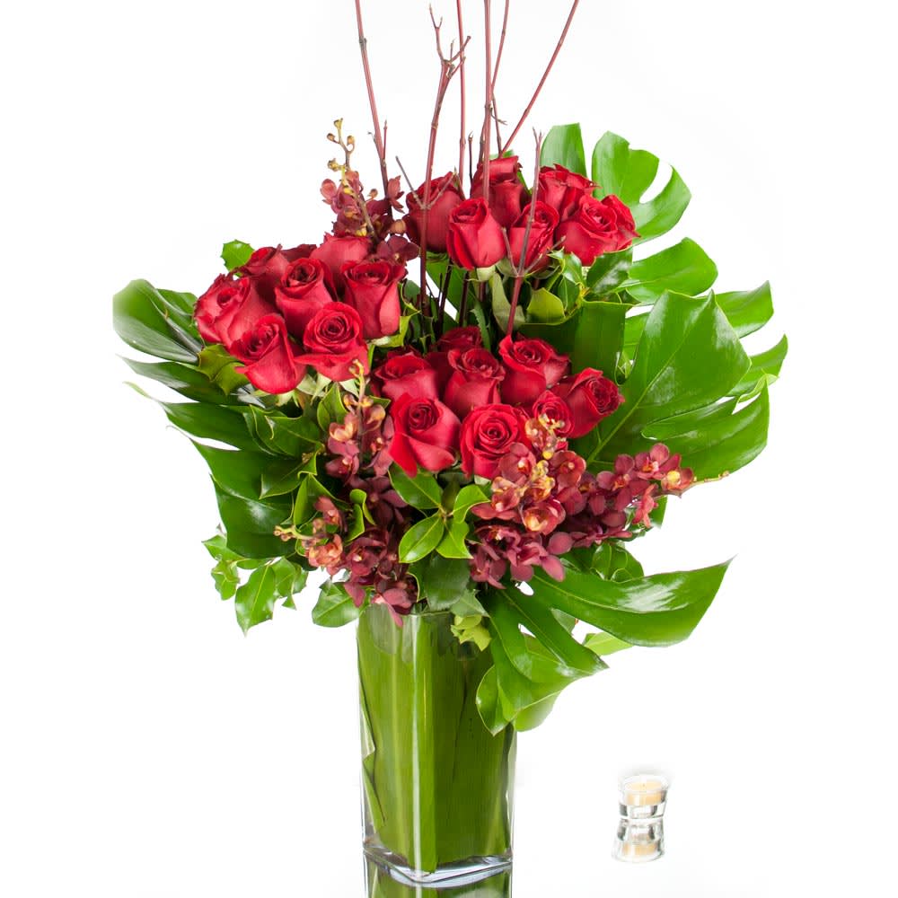 3 Dozen Long Stem Roses And Orchids In Sherman Oaks Ca Sherman Oaks Florist