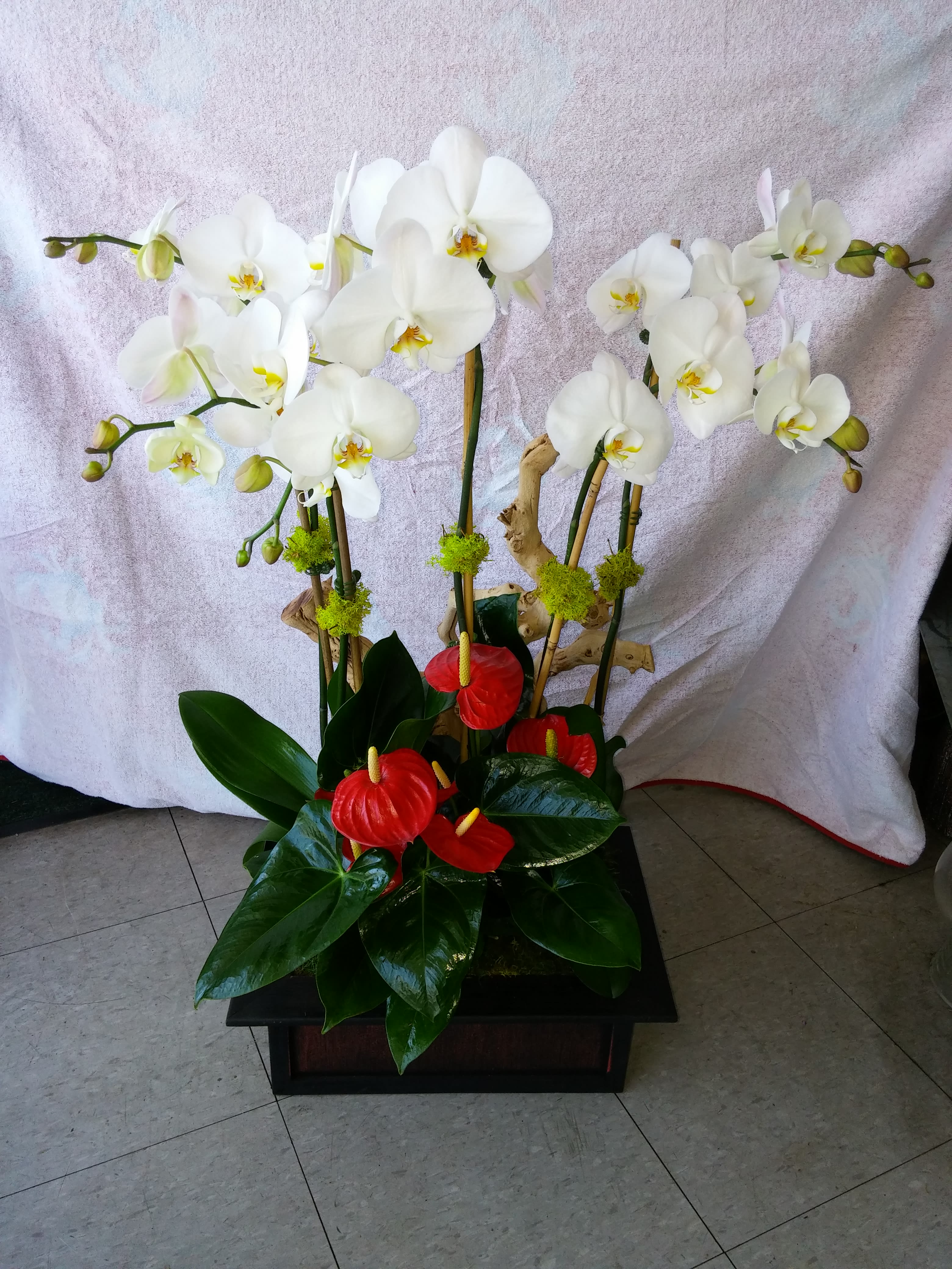 Grand Orchid Plants With Antherium In Downey Ca Downey Chapel Florist