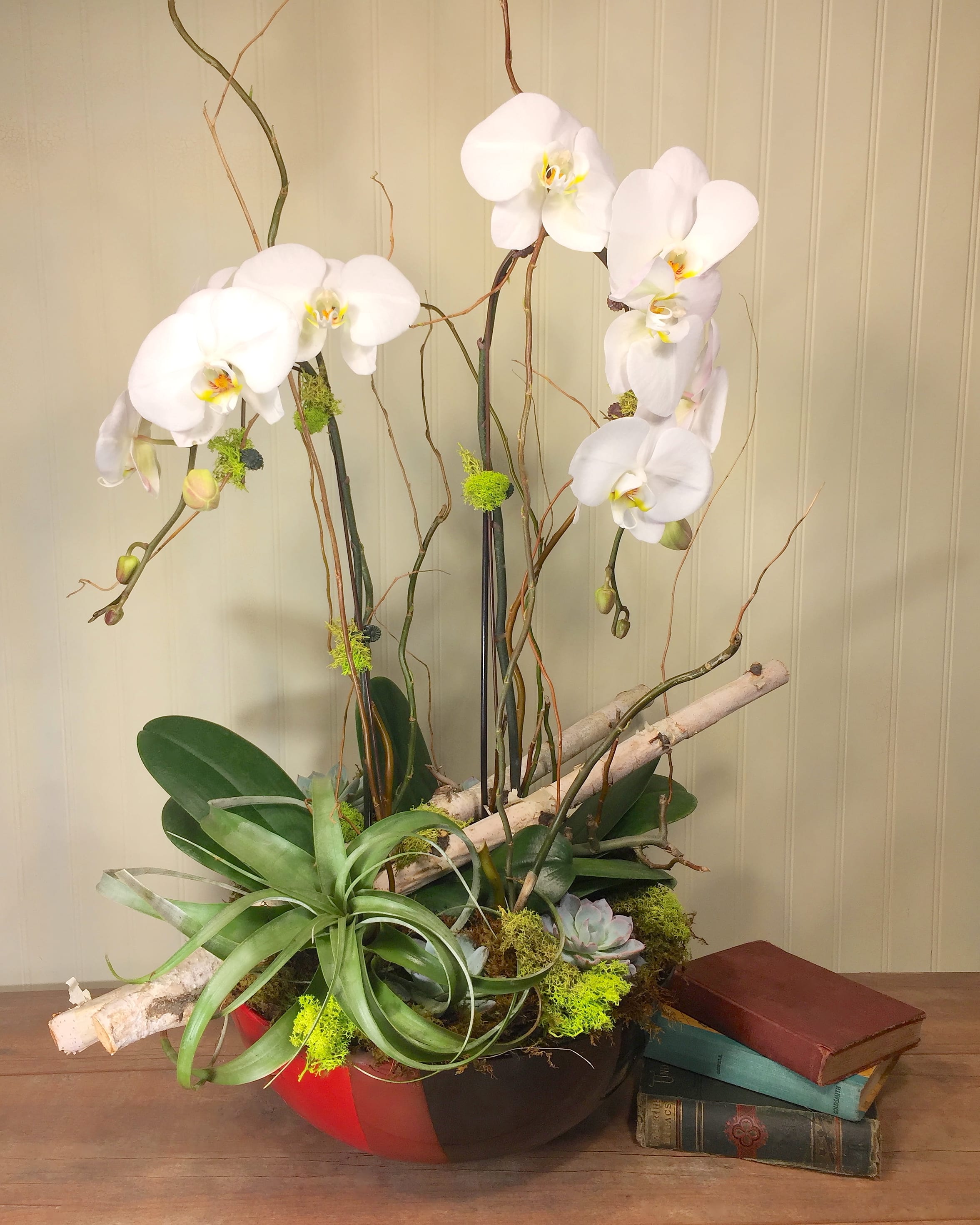 Annandale Orchid Planter In Saint Paul Mn Iron Violets Design Studio