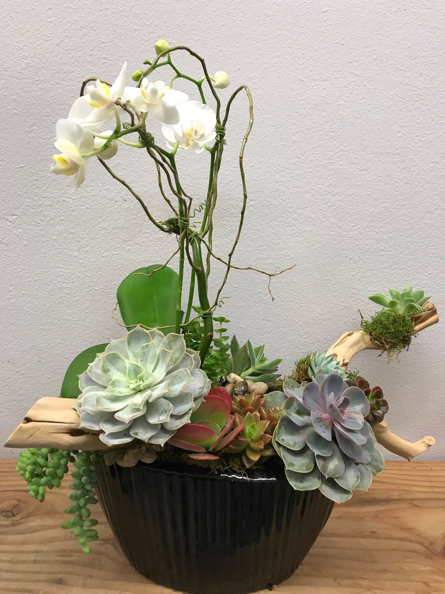 Rustic Orchid Garden In Manhattan Beach Ca Manhattan Village Florist Gifts