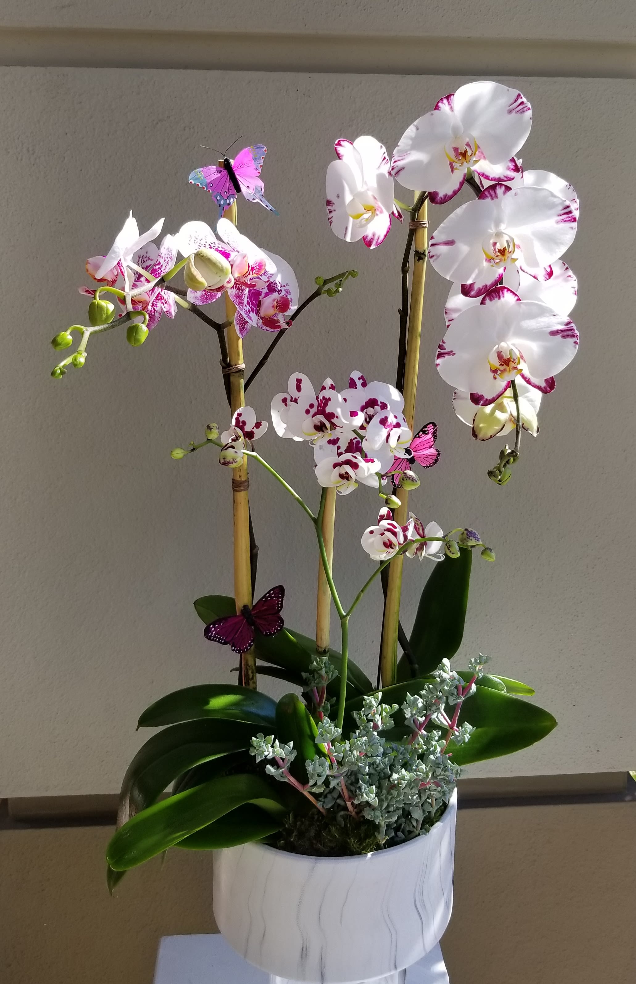 Soft Orchid Planter In Beverly Hills Ca Apropos Floral Event Design