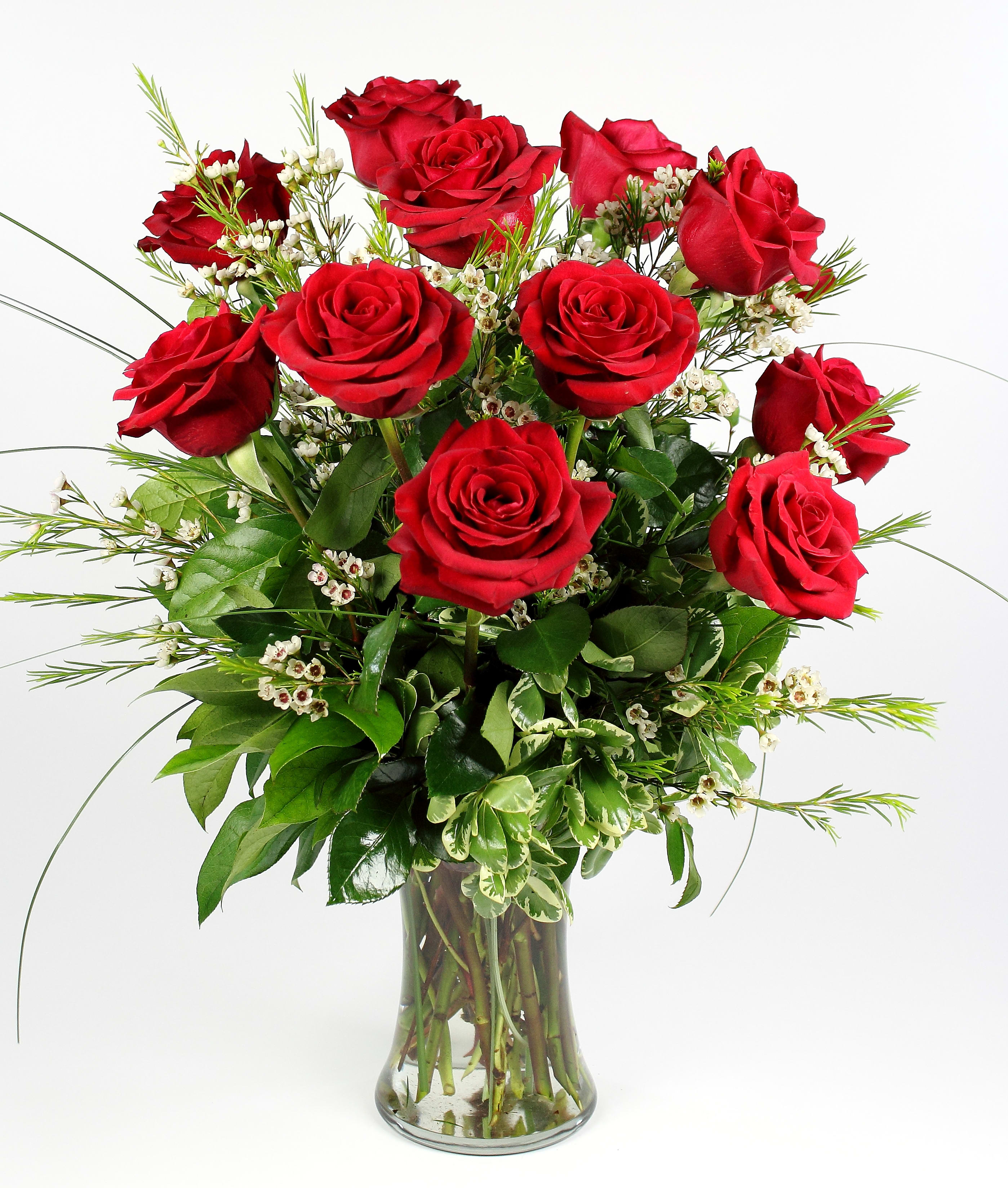12 Long Stem Red Roses In Saint Paul Mn Iron Violets Design Studio