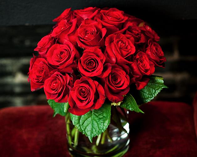 Two Dozen Roses Pave in West Palm Beach, FL | Ideal Orchids