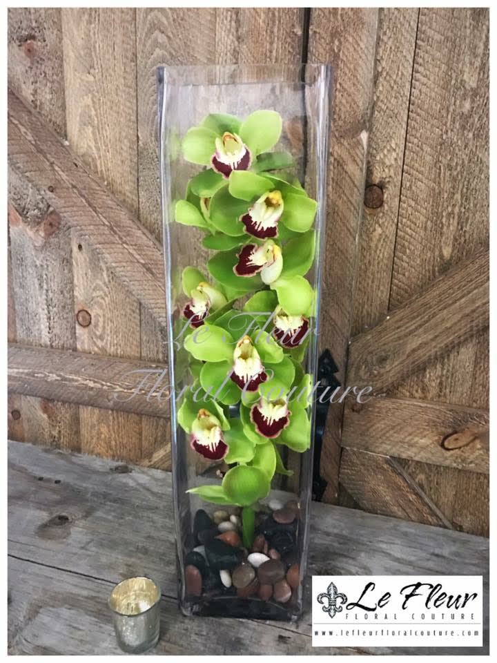 Cymbidium Orchid Vase In Santa Fe Springs Ca Le Fleur Floral Couture