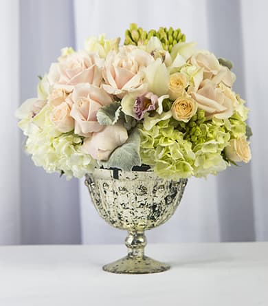 Hydrangea Roses And Orchids In Santa Clarita Ca Celebrate Flowers And Invitations,Strawberry Wine Song