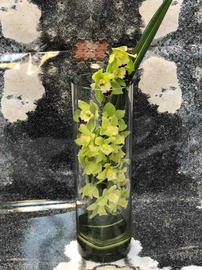 Green Cymbidium Orchid Cylinder By Victoria Park Flower Studio