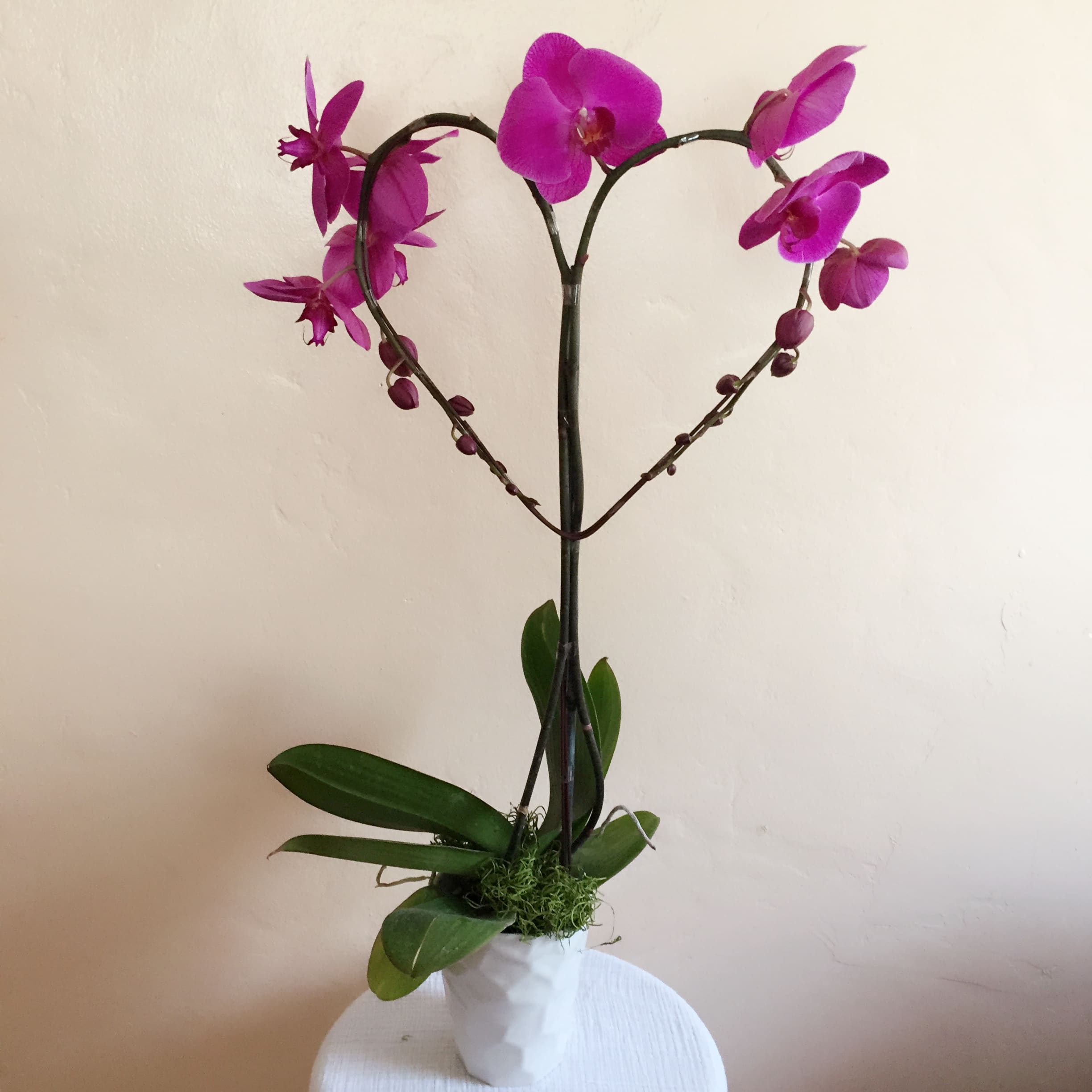 Purple Orchid Heart By Orkizz Inc