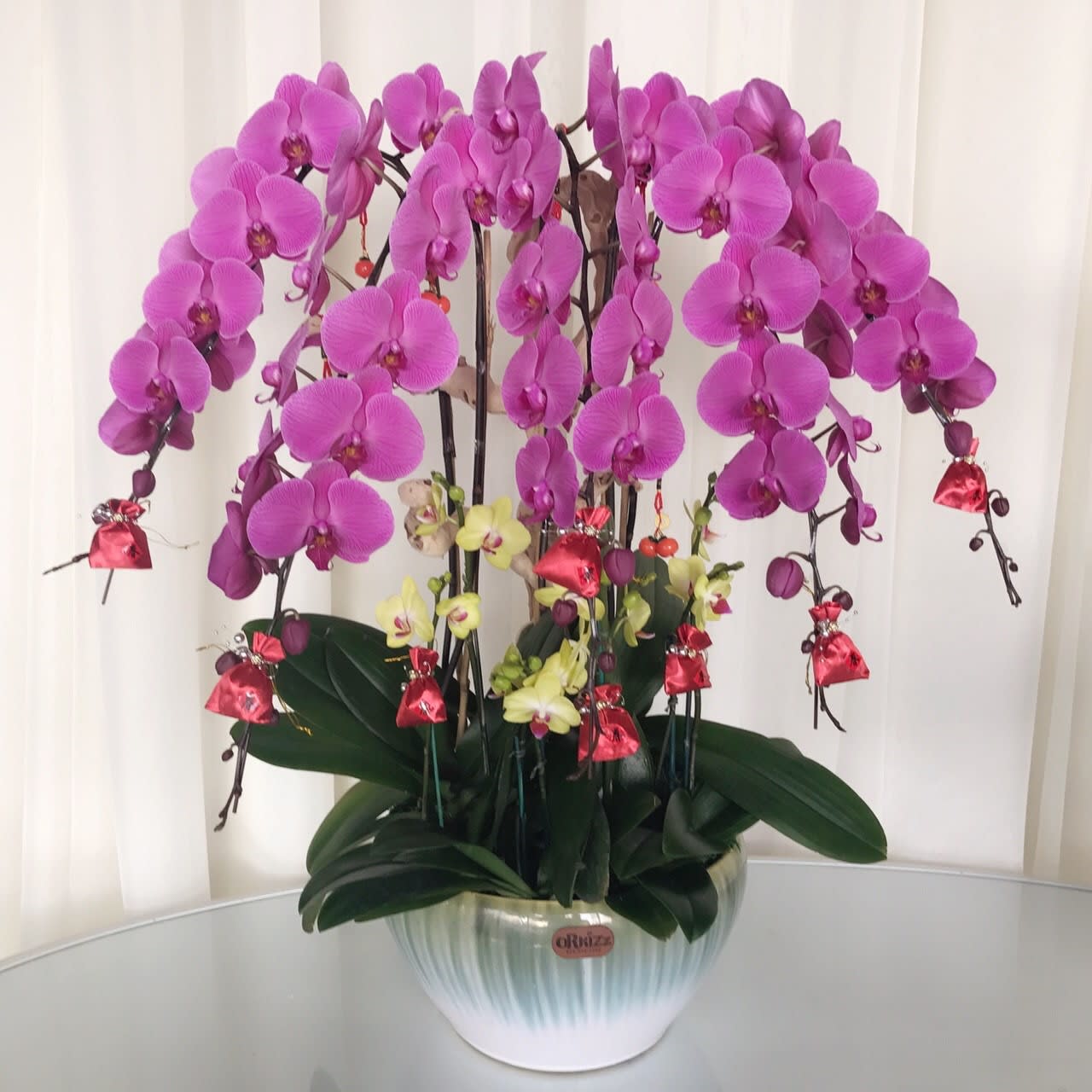 Premium Purple Cascade Phalaenopsis Orchid By Orkizz Inc