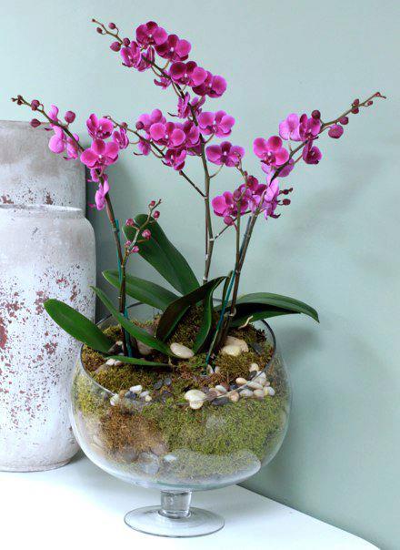 Purple Orchid Vase In Pasadena Ca Pasadena Florist