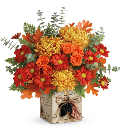 Teleflora's Wild Autumn Bouquet in Newton, MA | Busy Bee ...