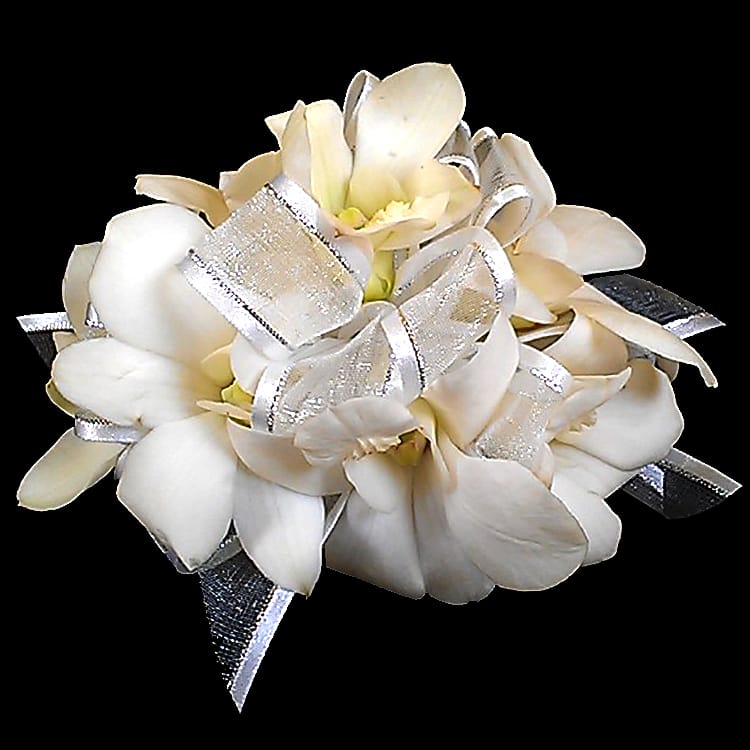 White Dendrobium Orchid Corsage Acw2 In La Jolla Ca Adelaide S