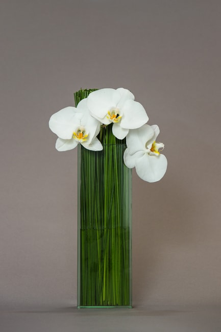 Orchids And Steel Grass In Encinitas Ca Floral Design By Ari