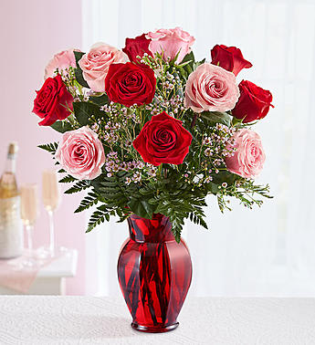Shades Of Pink Red Roses 161131 12 Roses In Camden Nj Flowers By Mendez Jackels