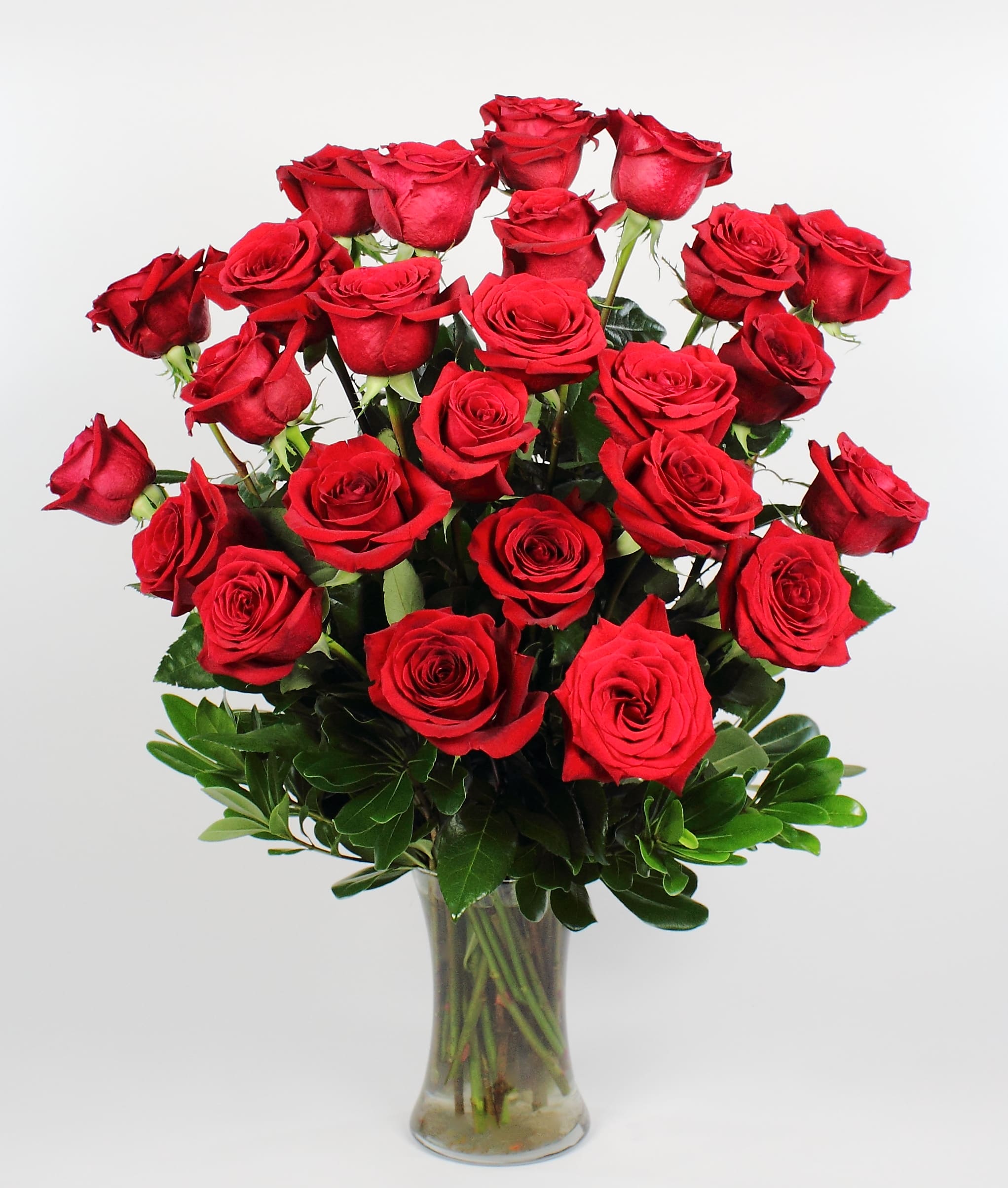24 Red Long Stemmed Roses in Saint Paul, MN Iron Violets Design Studio