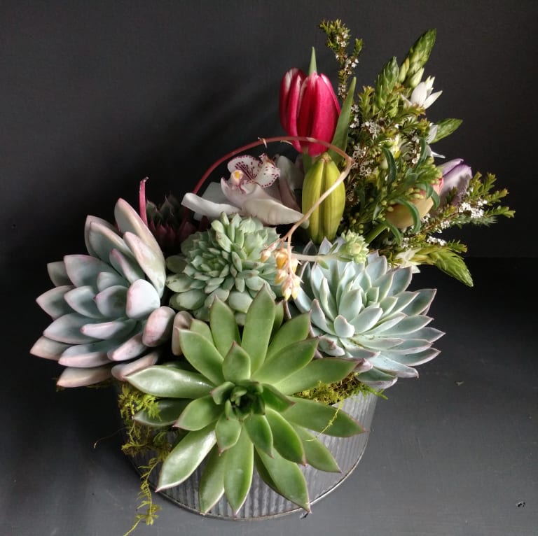 Saint Raywood in Austin, TX | The Enchanted Florist Enchanted florist specializes in creating specialized flower arrangement for their customer's needs.