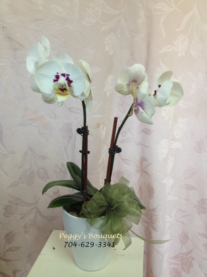 Orchid Or Premium Orchid With Fresh Arrangement In Bessemer City Nc Peggy S Bouquets