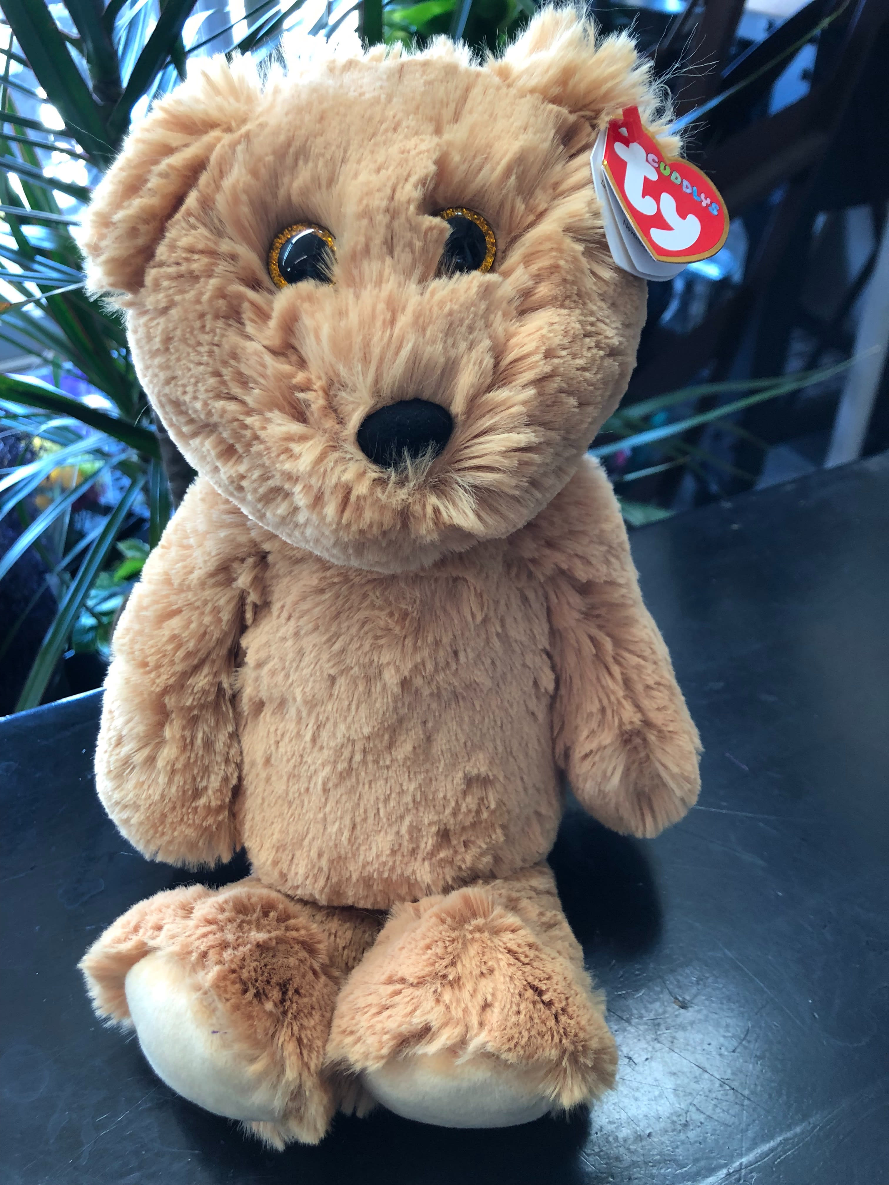 teddy same day delivery