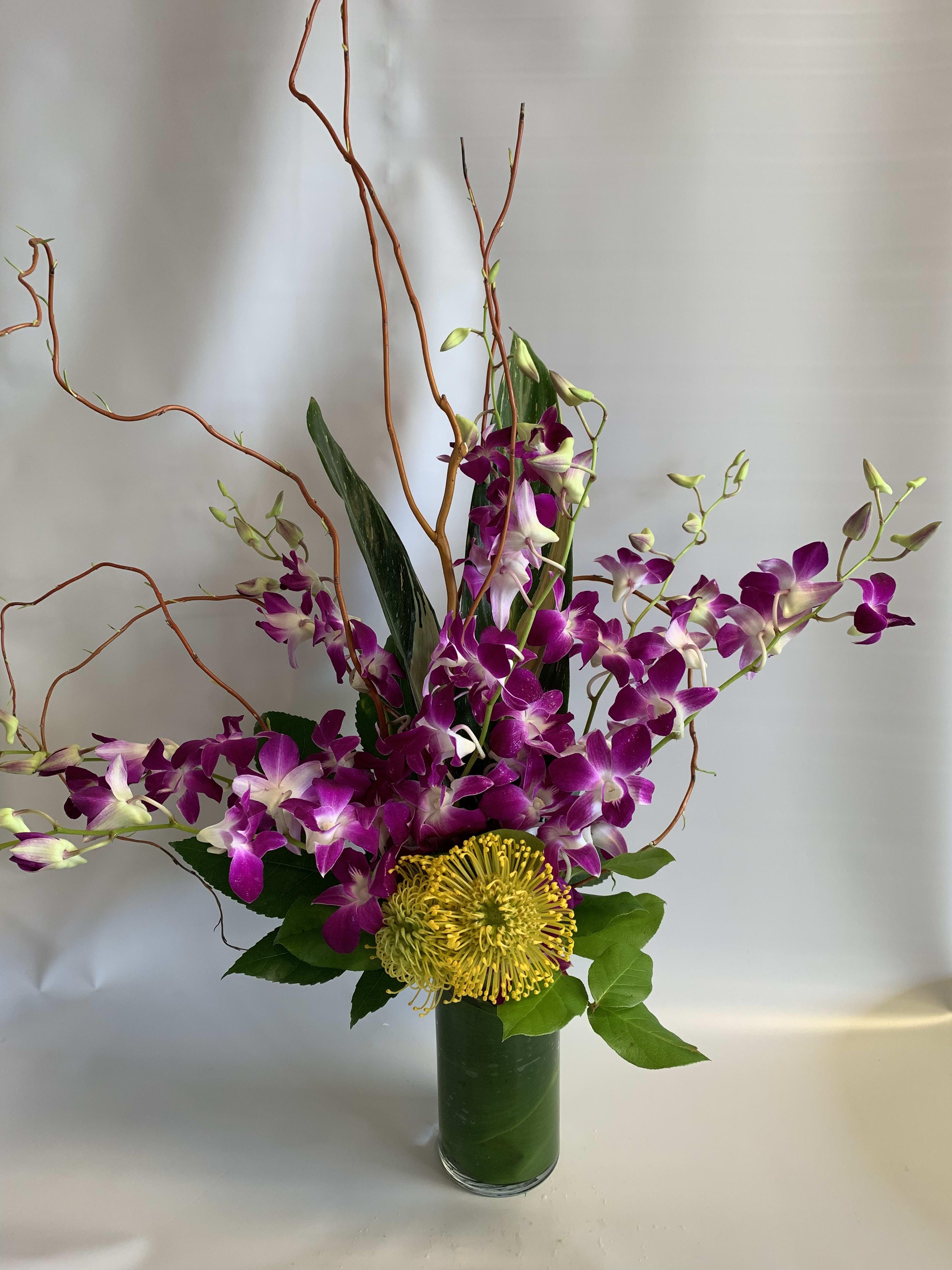 Orchids In San Diego Ca Liz S Flowers