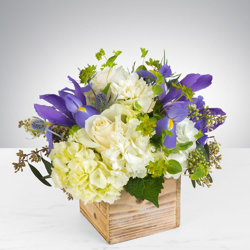 Breath Of Fresh Air In Toms River Nj Flowers By Addalia