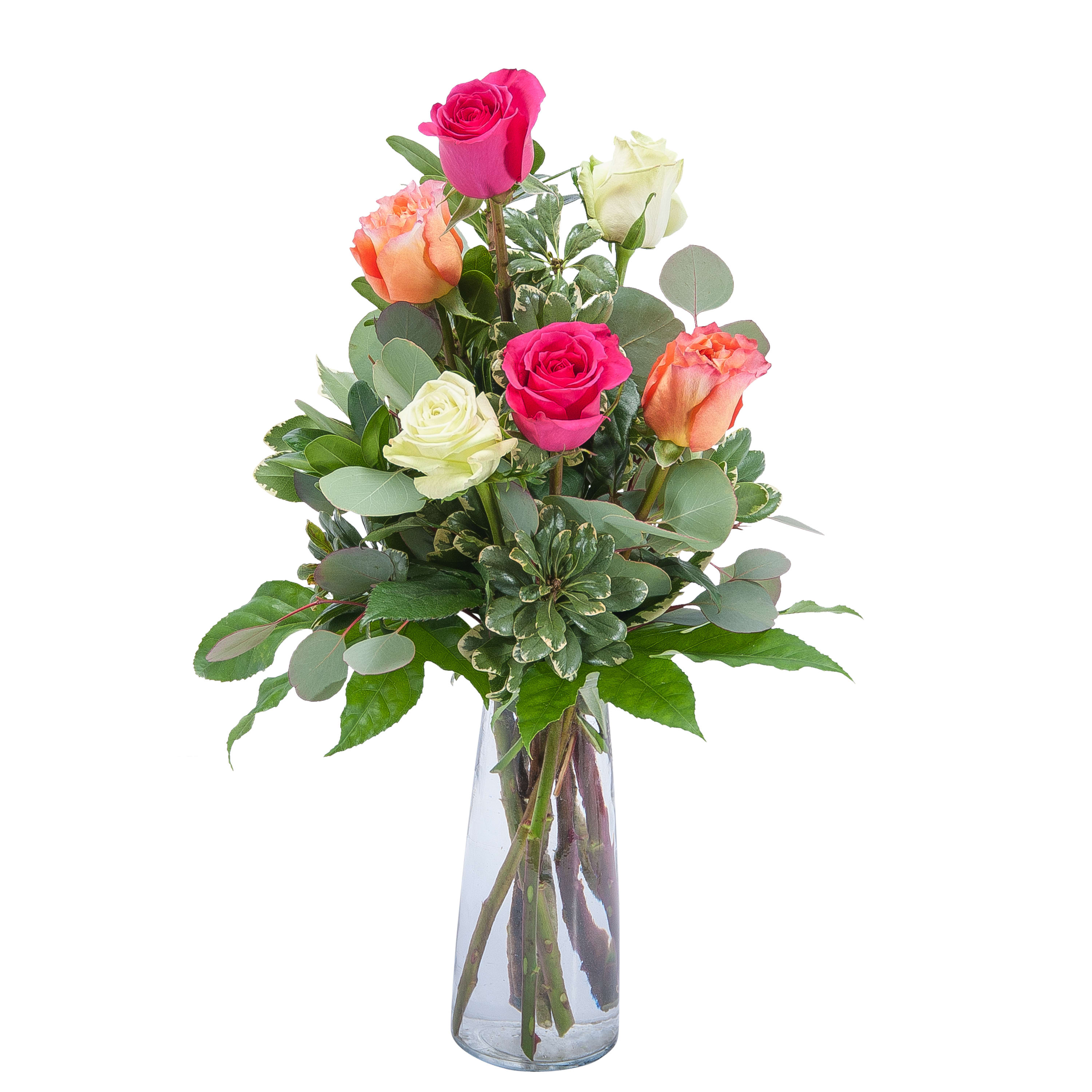 Six Roses In Toms River Nj Flowers By Addalia