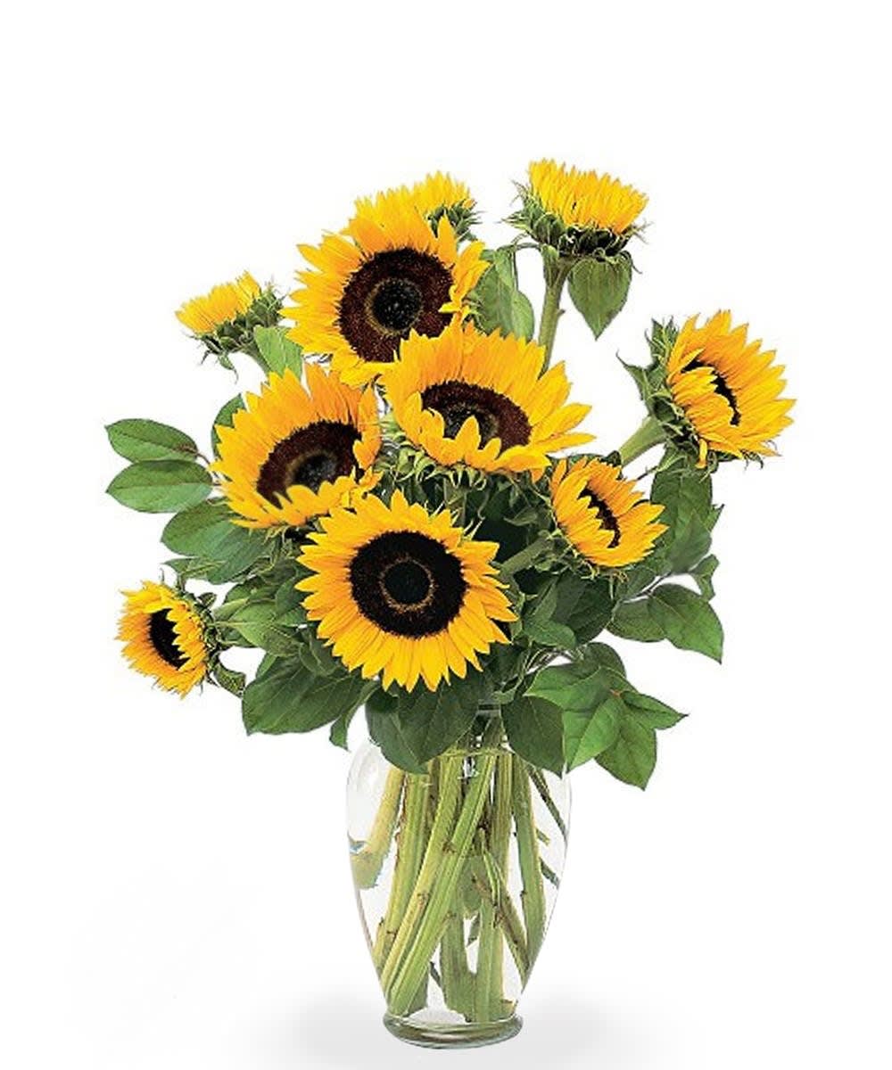 Sunflower Bouquet By Encore Florals Wines And Gifts