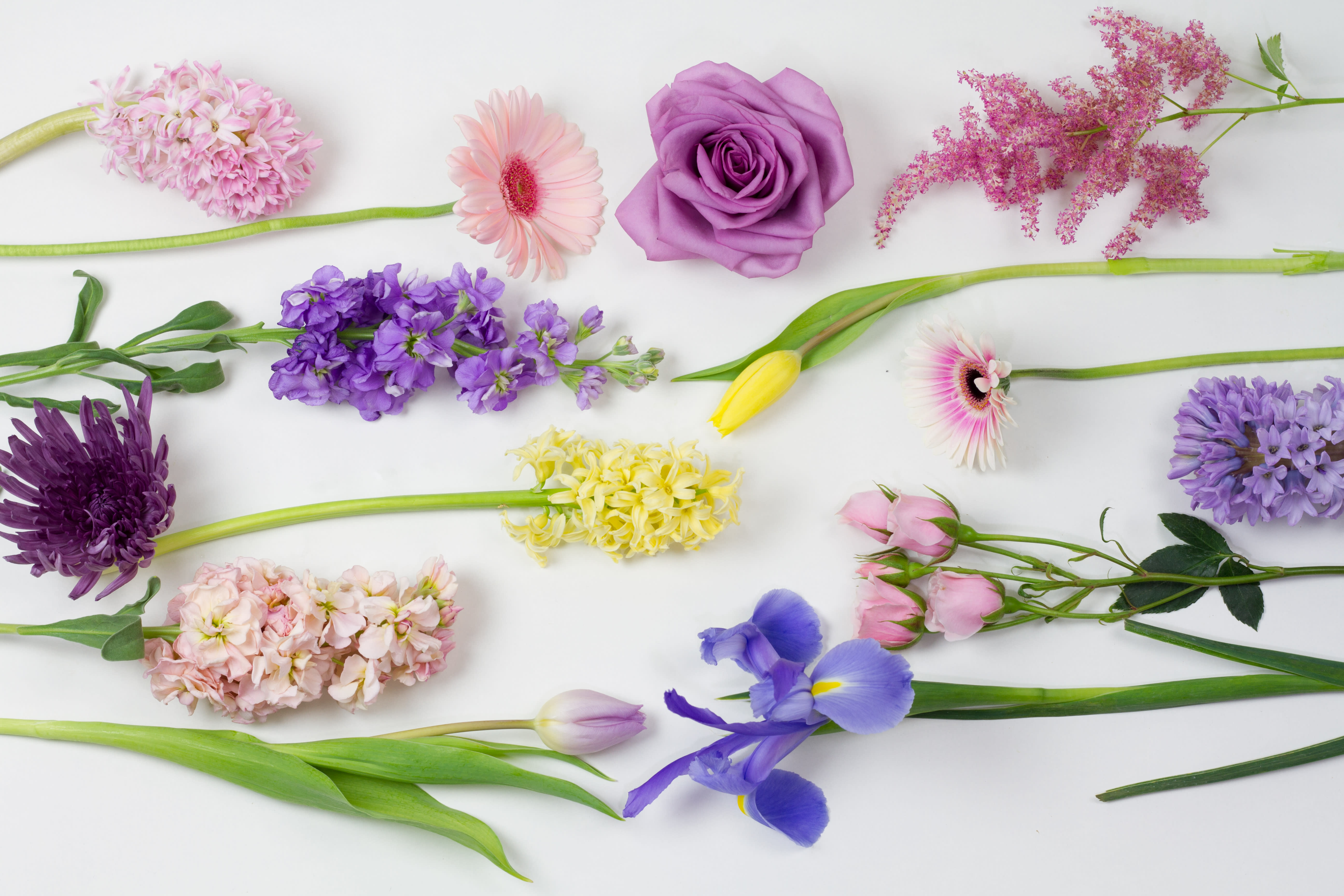 Designer S Choice In Pastel Colors In Kansas City Mo Westport Floral Designs